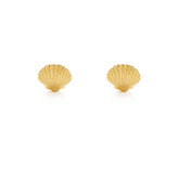 Tiny Shell Stud Earrings